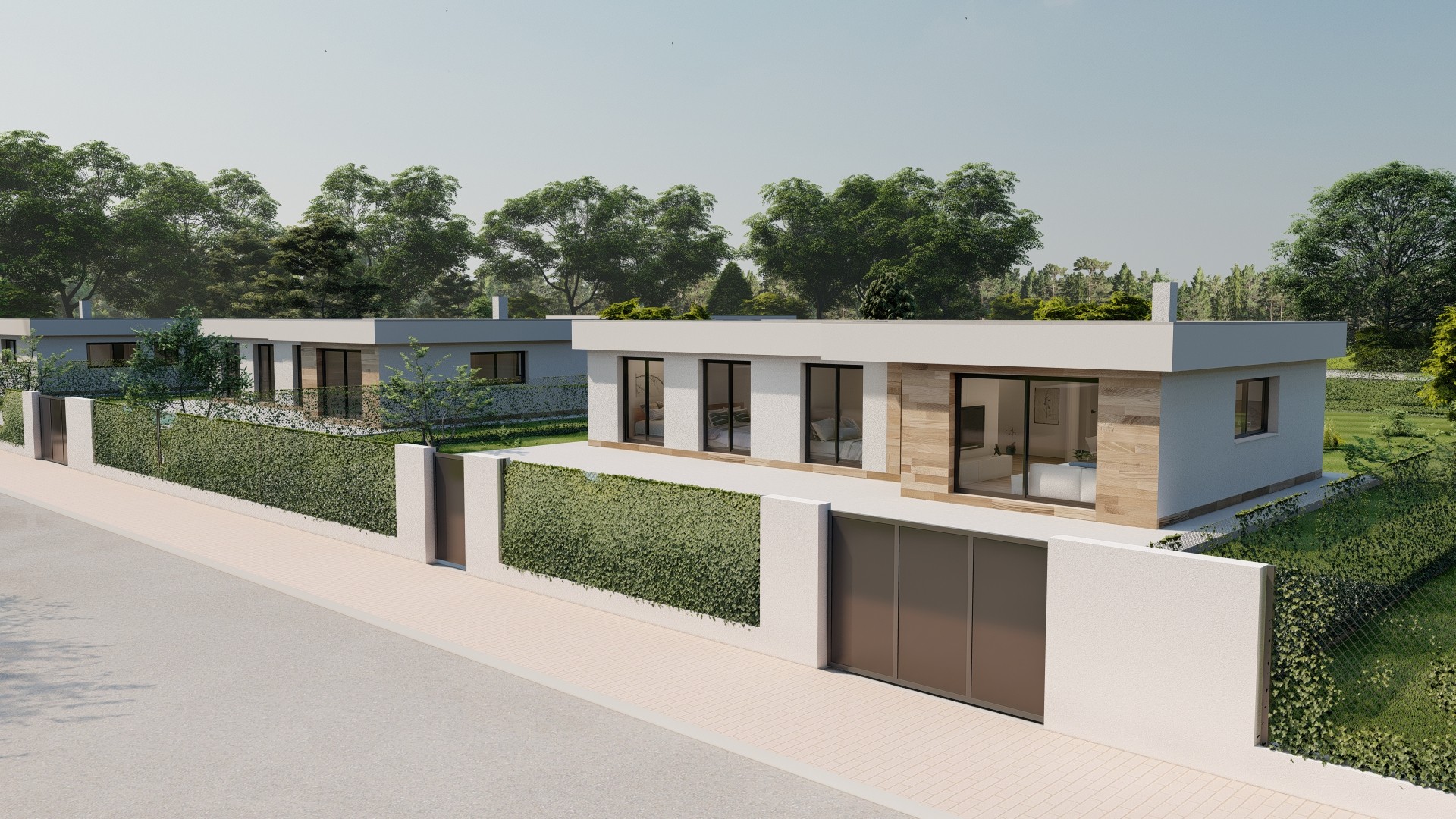 Villa in Murcia - view 1