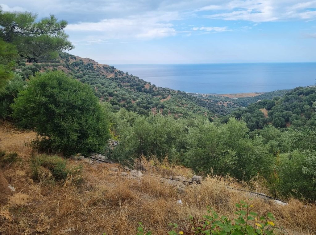 House in Lasithi - view 1