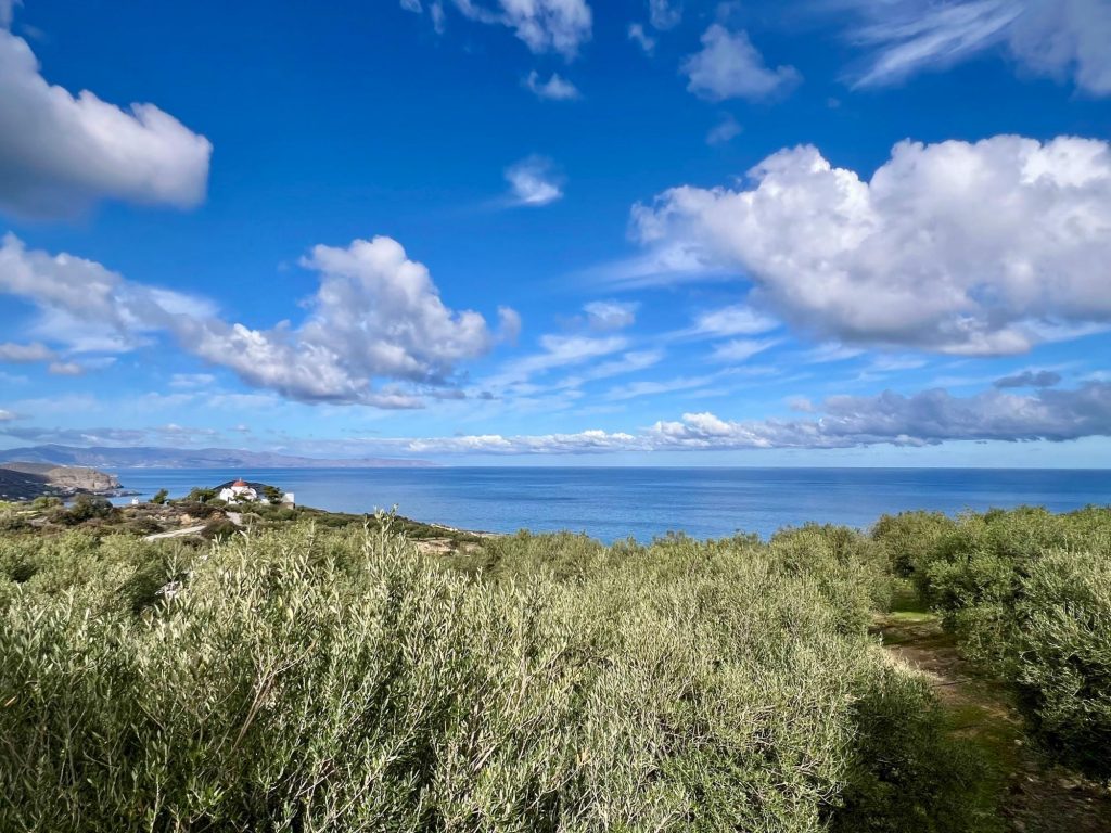 House in Lasithi - view 1