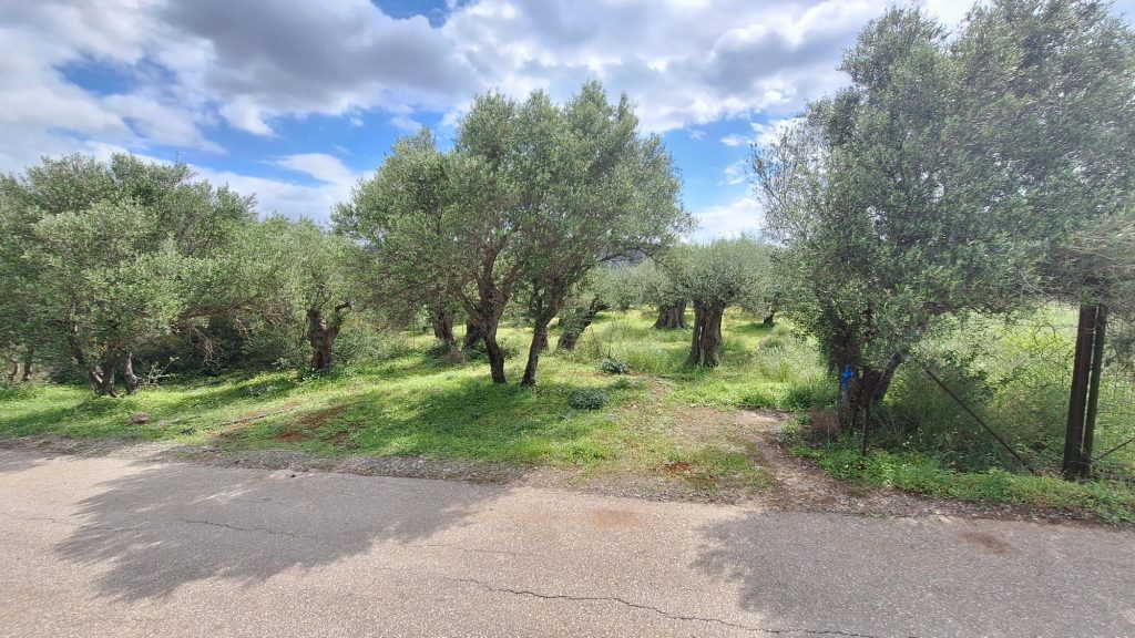 House in Lasithi - view 1