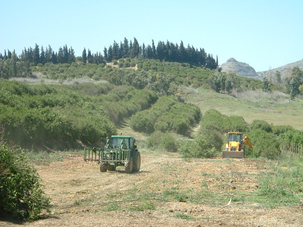 Land in Malaga - view 1