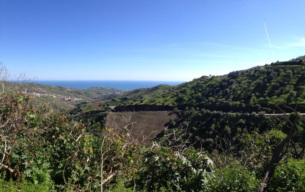 House in Malaga - view 1