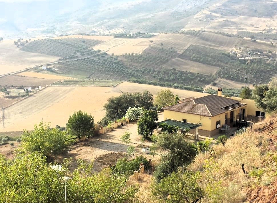 House in Malaga - view 1