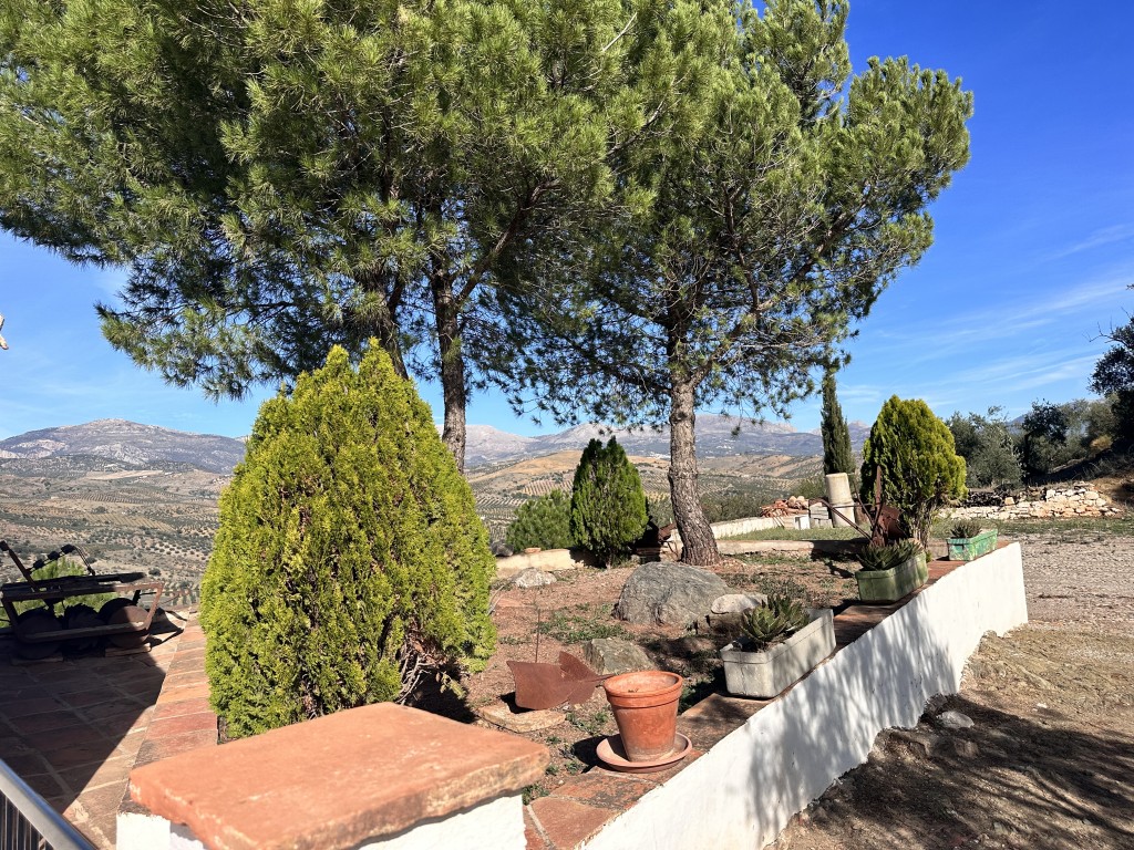 House in Malaga - view 1