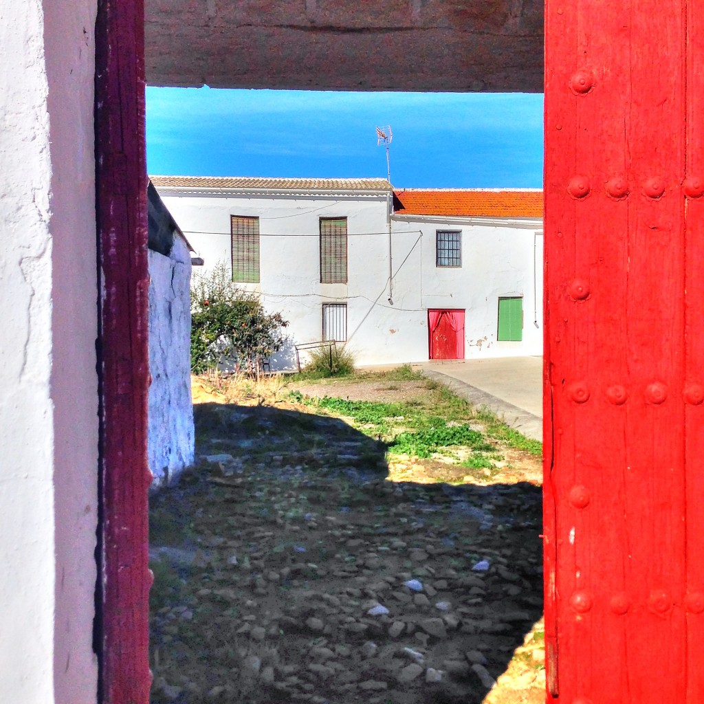 Farm, Ranch or Equestrian in Alora - view 1