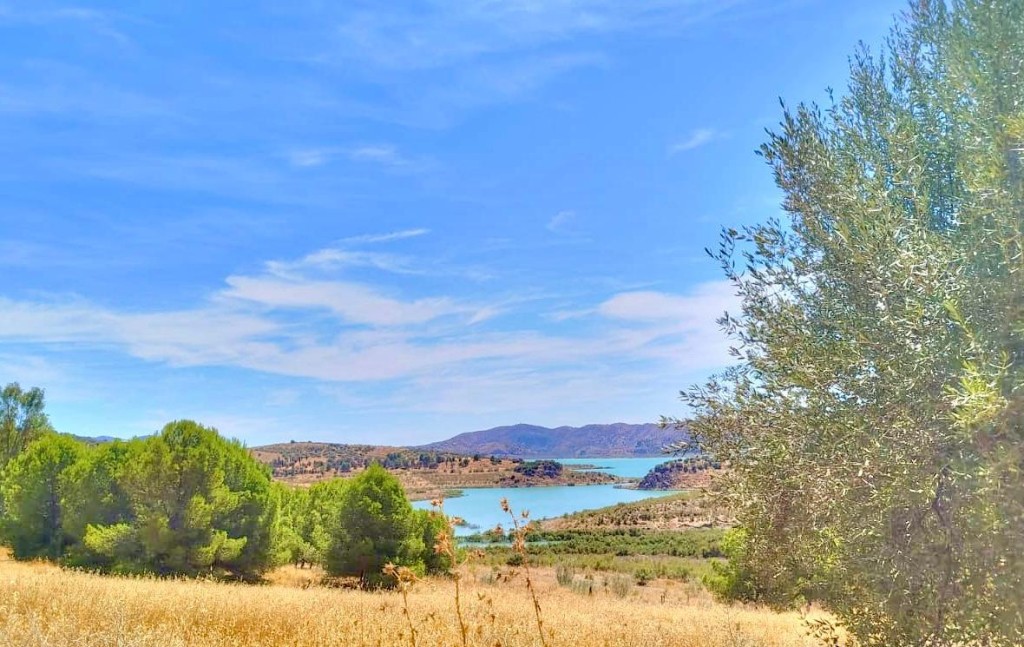 Land in Torre del Mar - view 1
