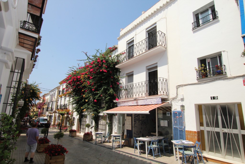 Villa in Marbella Del Este - view 1