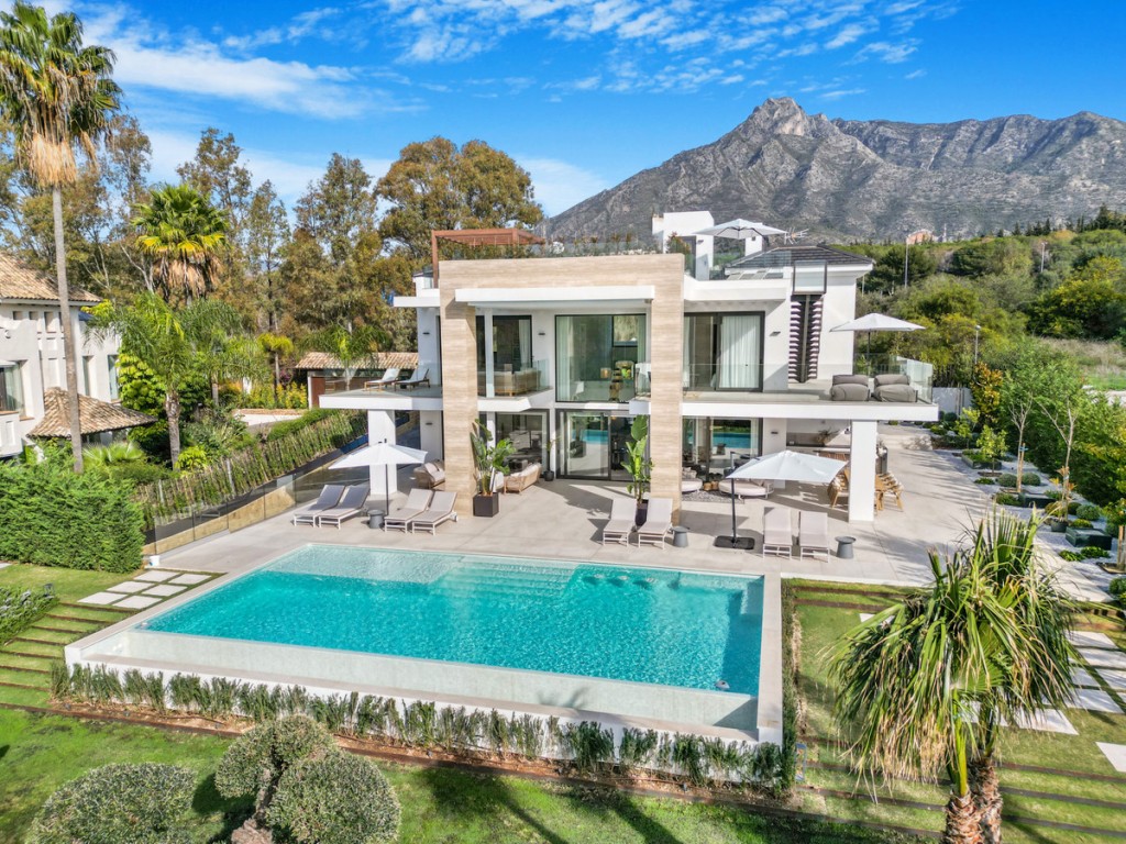 House in Nueva Andalucia - view 1