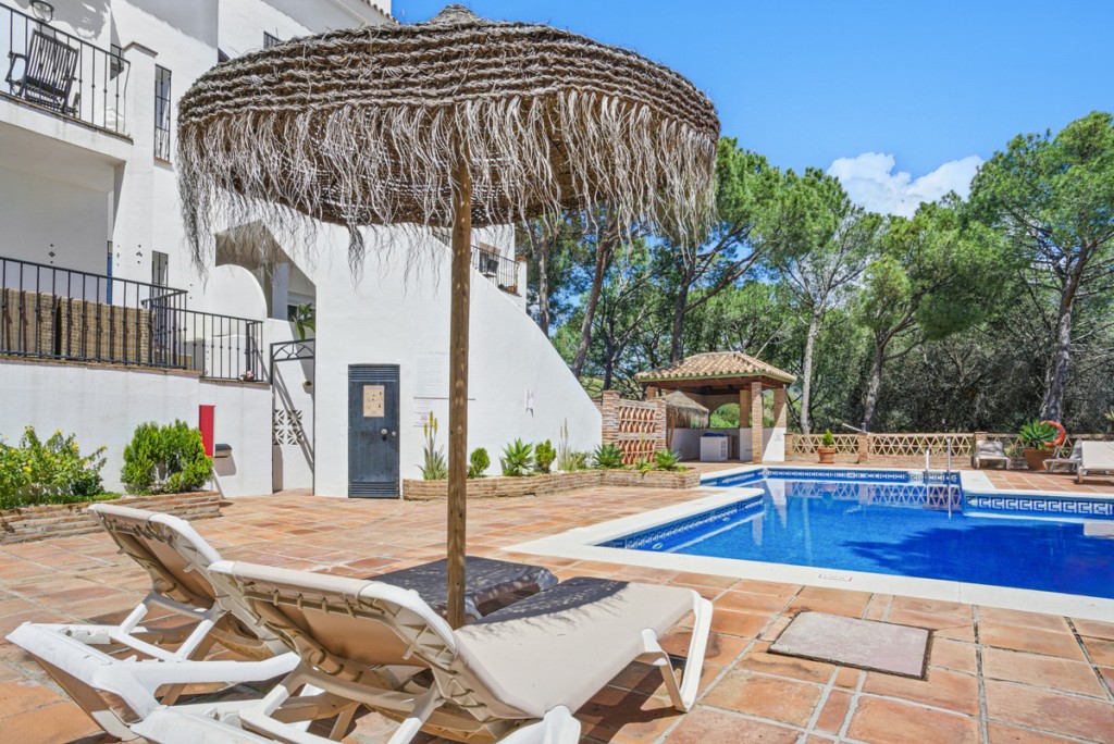 House in Marbella Del Este - view 1