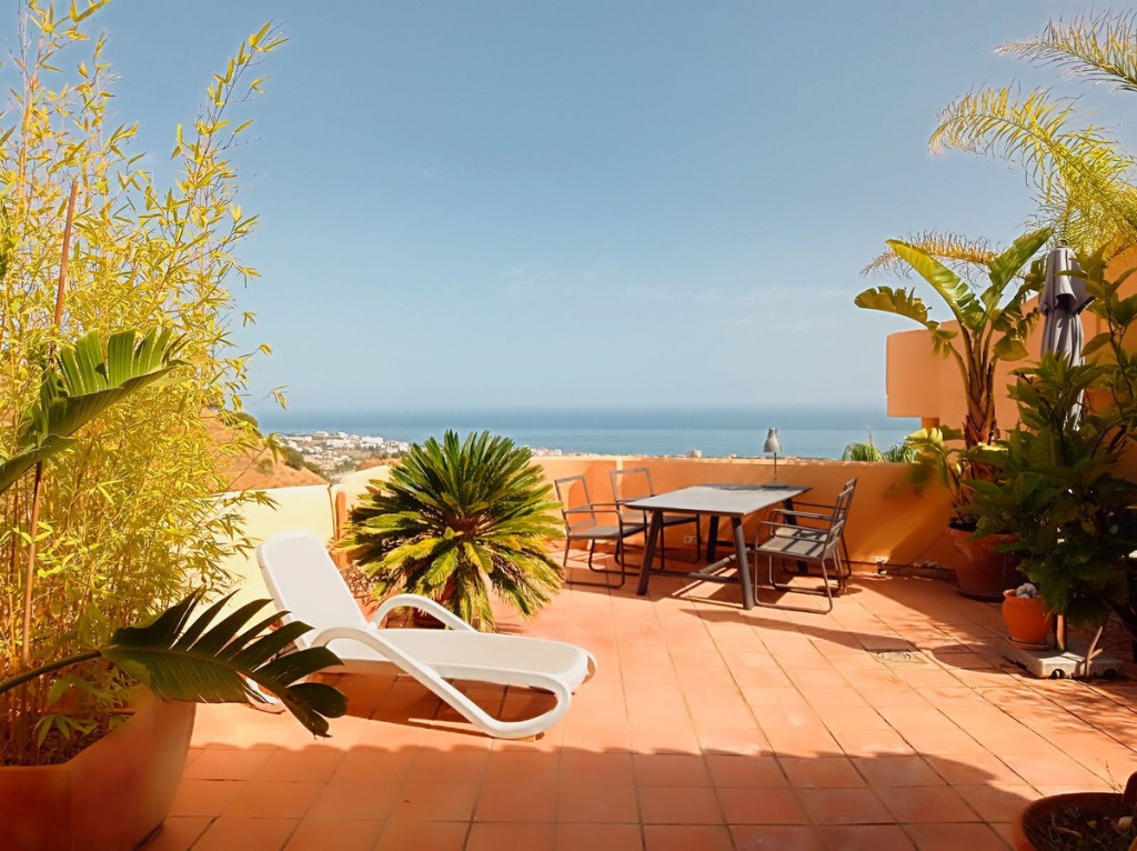 House in Sitio de Calahonda - view 1