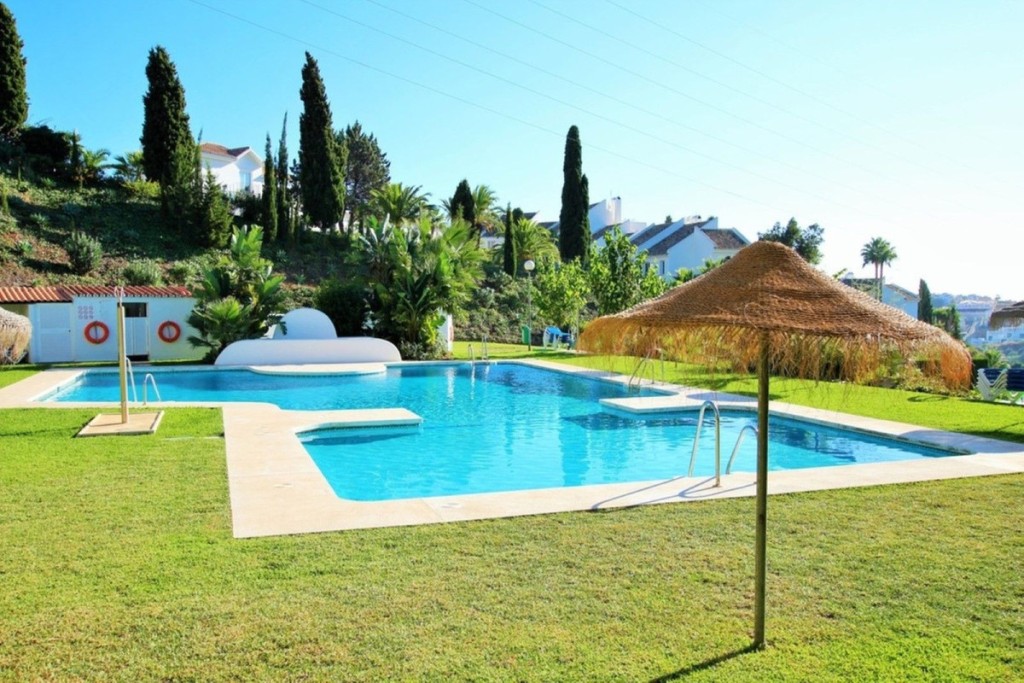 House in Calahonda - view 1