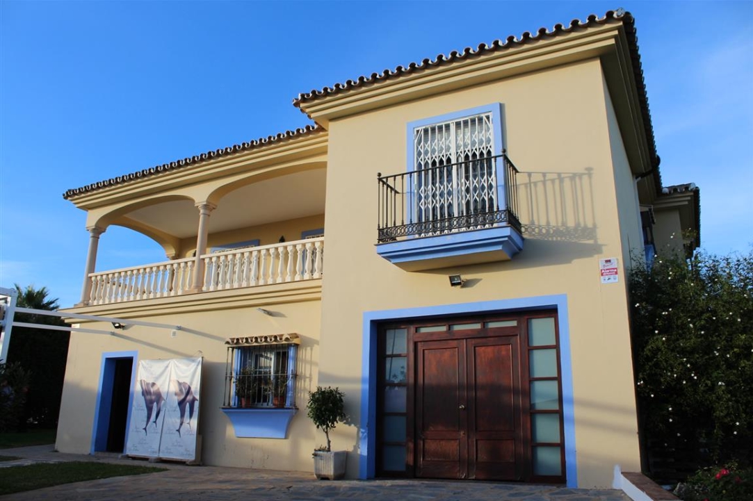 Farm, Ranch or Equestrian in Estepona - view 1