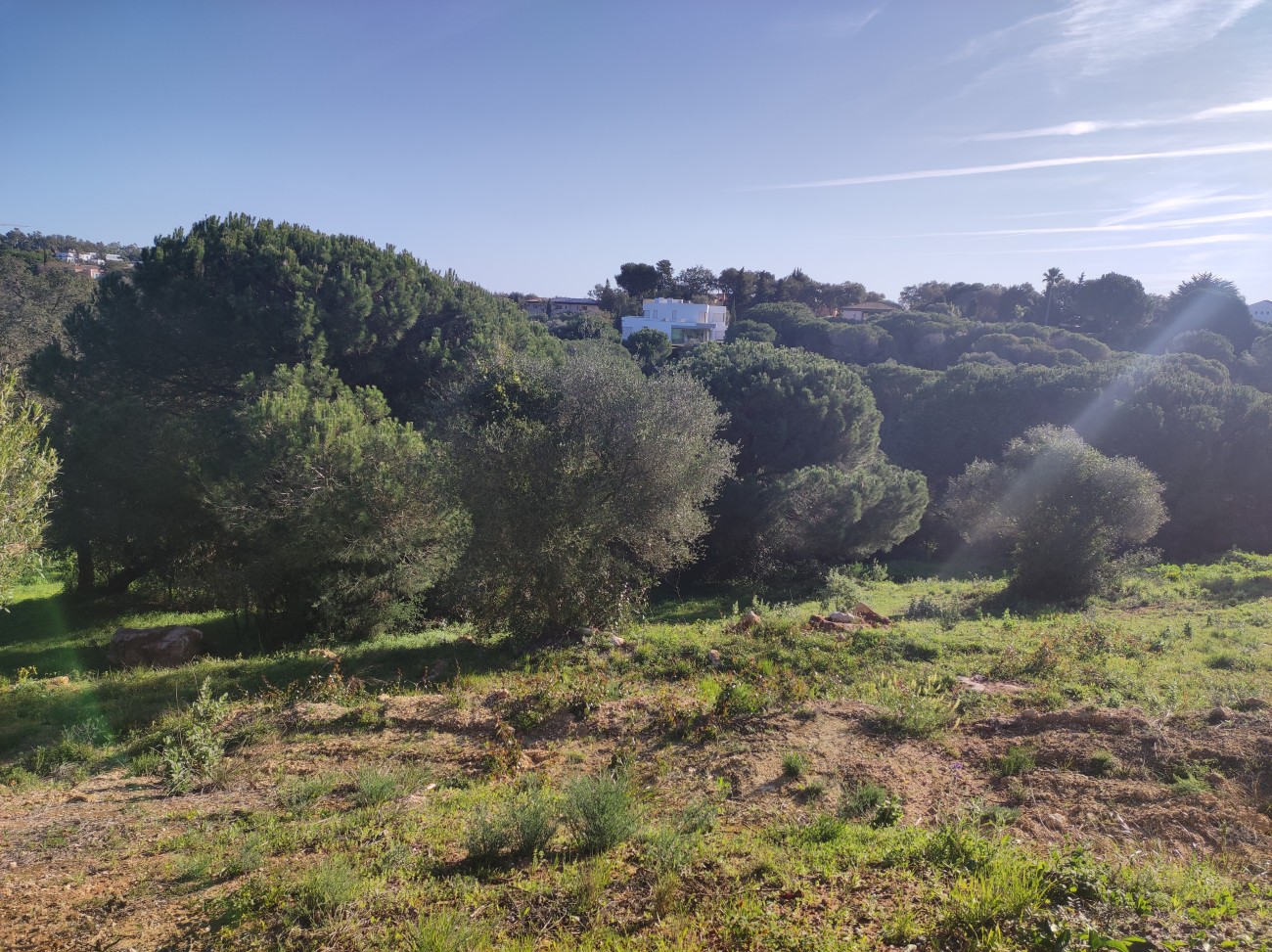 Land in San Roque - view 1