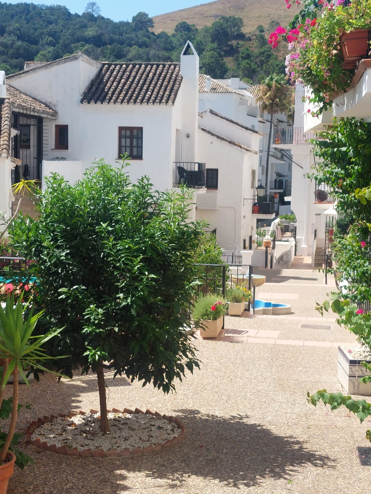 Apartment in Benahavis - view 1