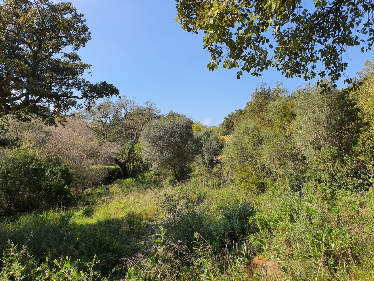 House in San Roque - view 1