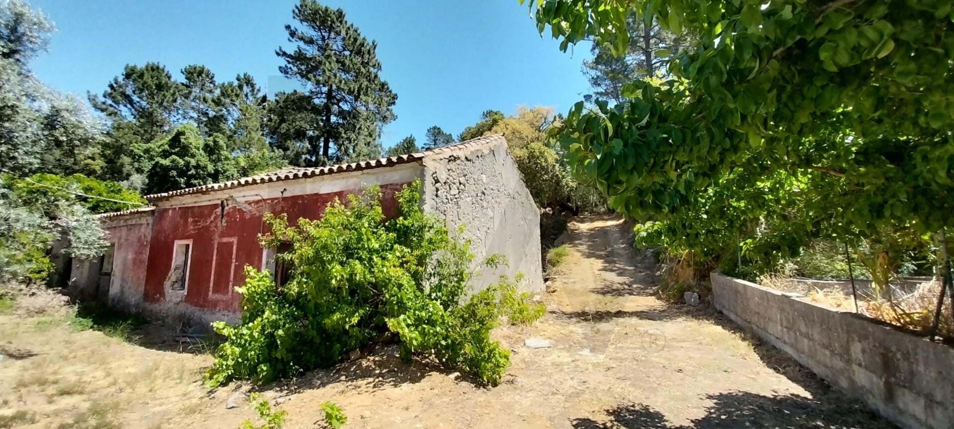 House in Monchique - view 1