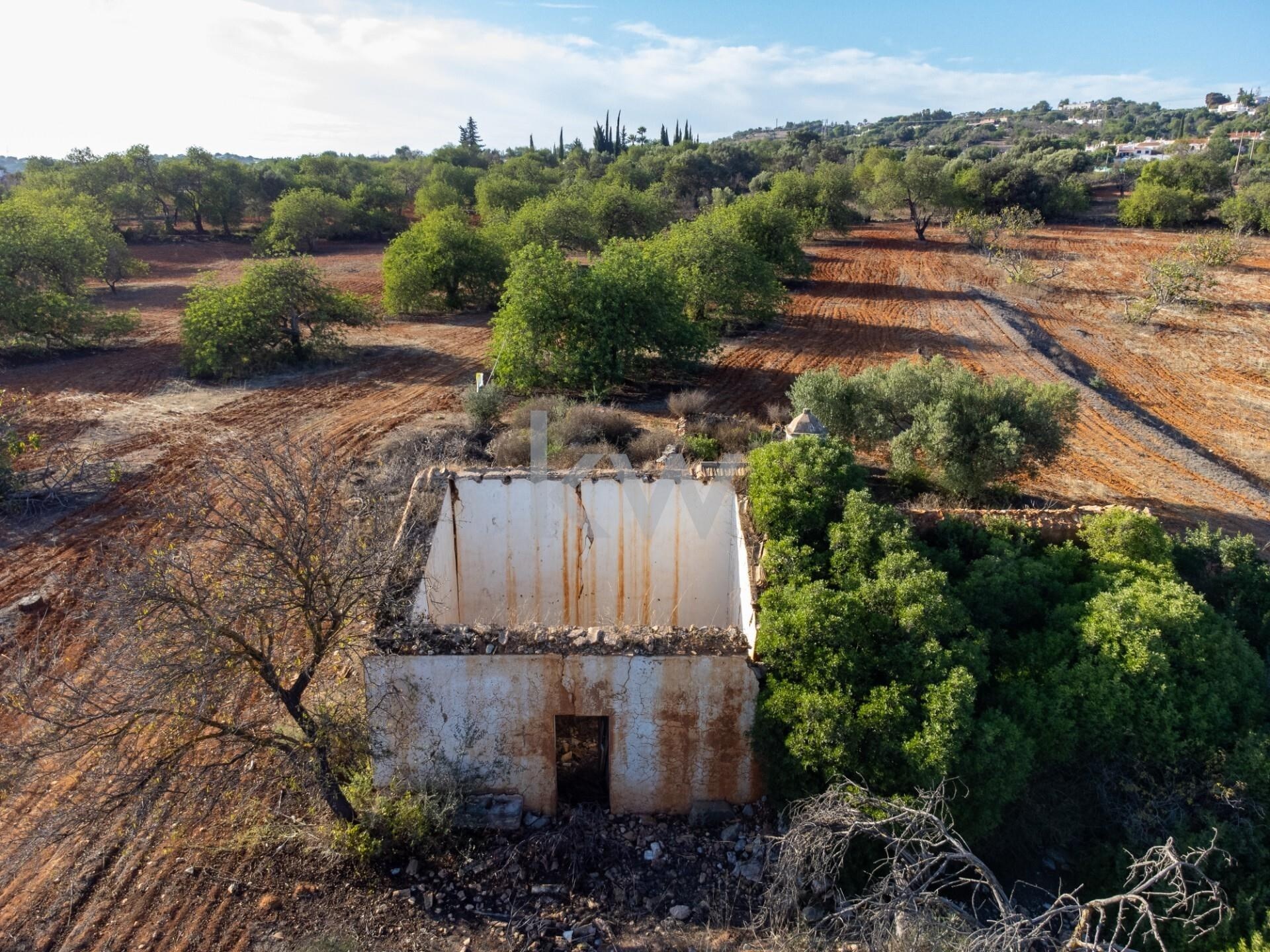 Land in Salir - view 1