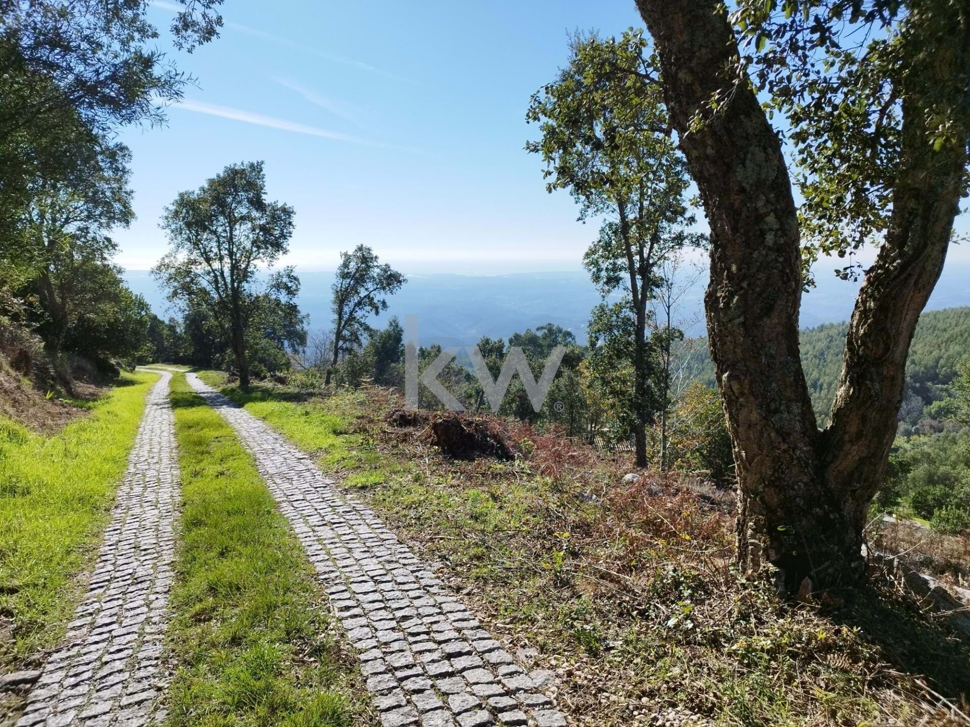 Land in Monchique - view 1