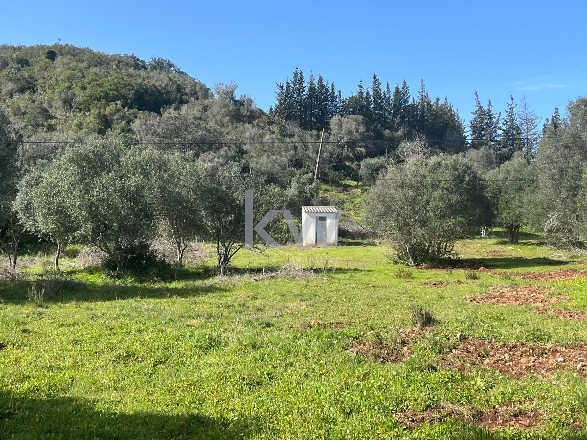 Land in Portimao - view 1