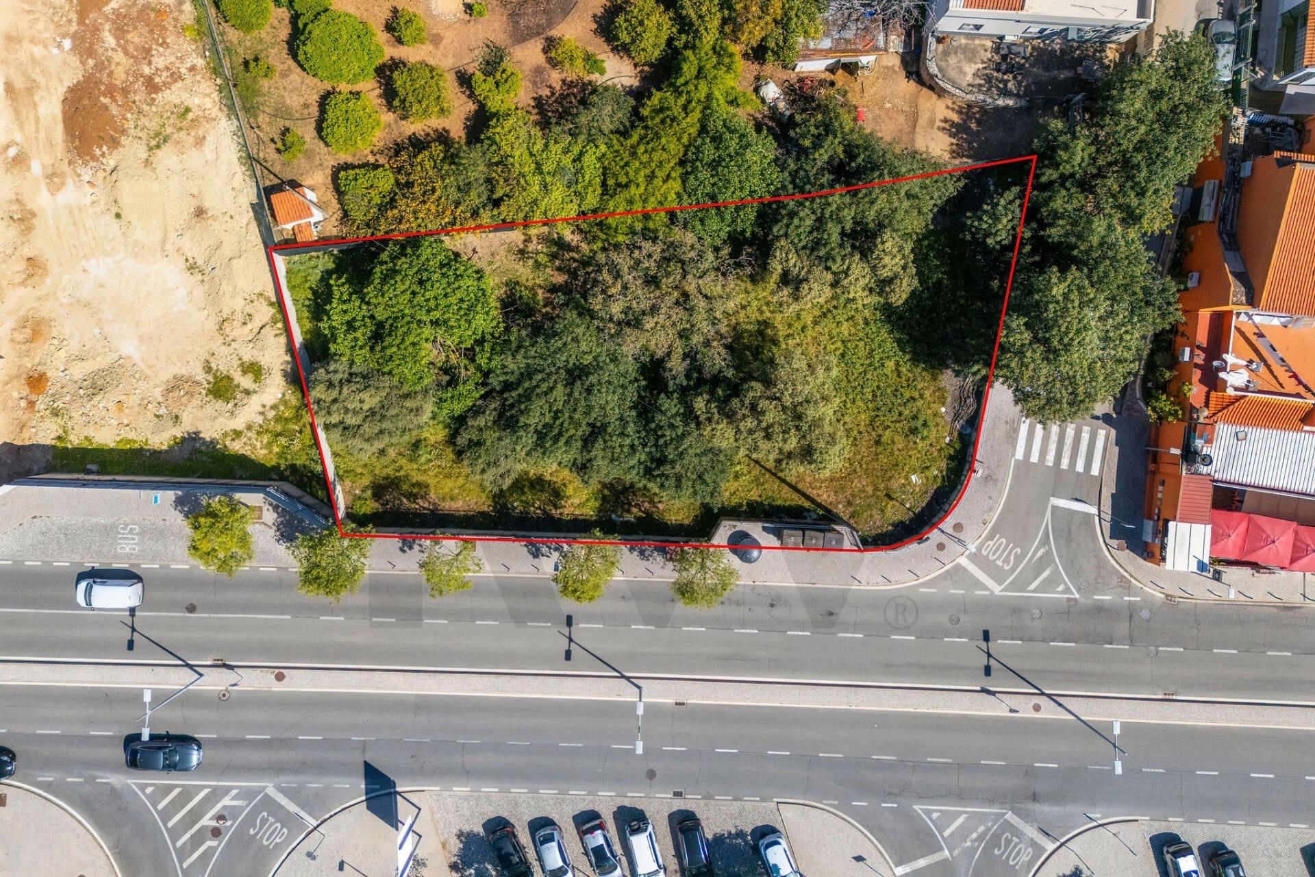 Land in Abrantes - view 1