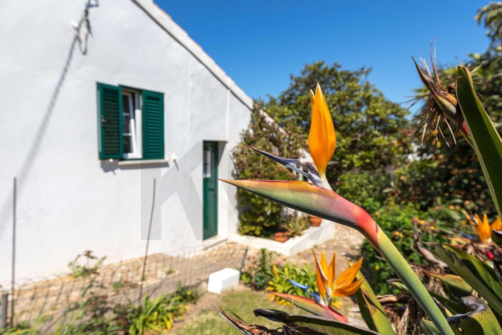 Villa in Raposeira - view 1
