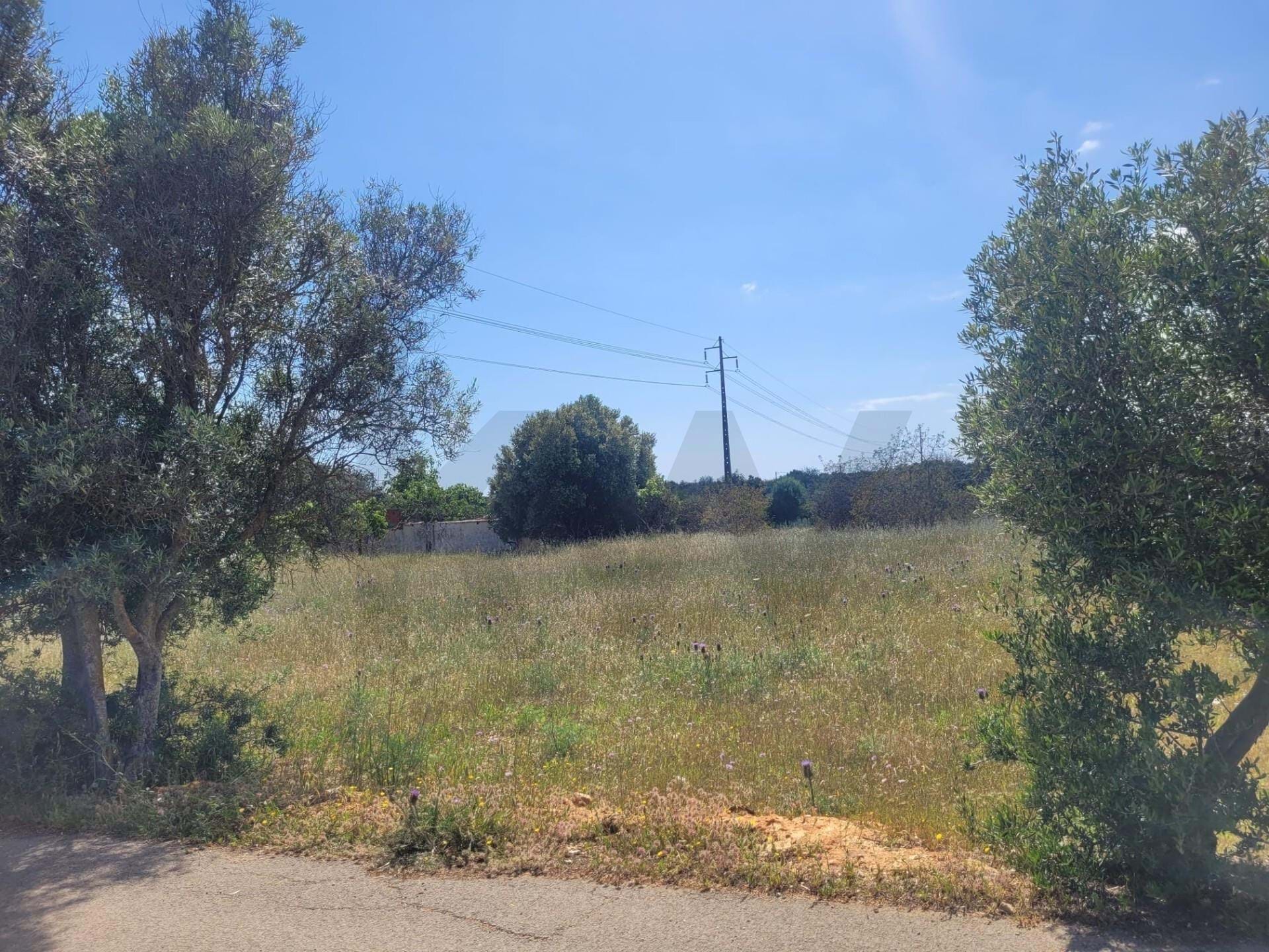 Land in Fonte de Boliqueime - view 1
