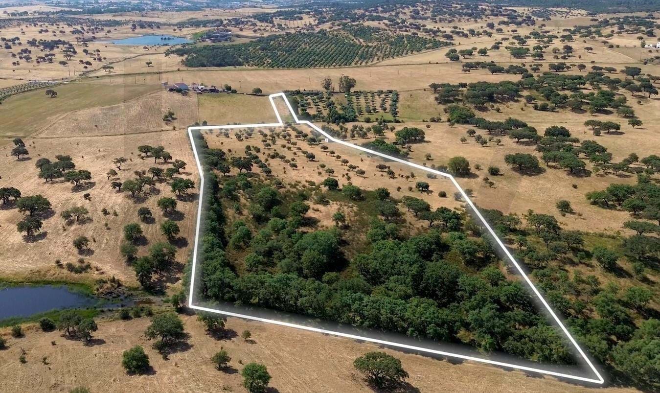 Land in Almodovar - view 1