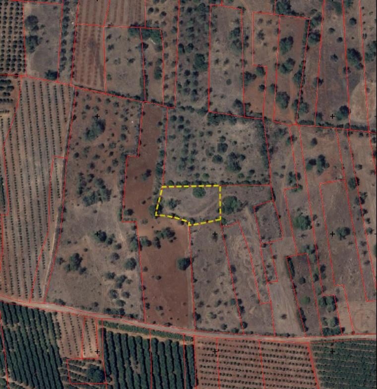 Land in Silves - view 1