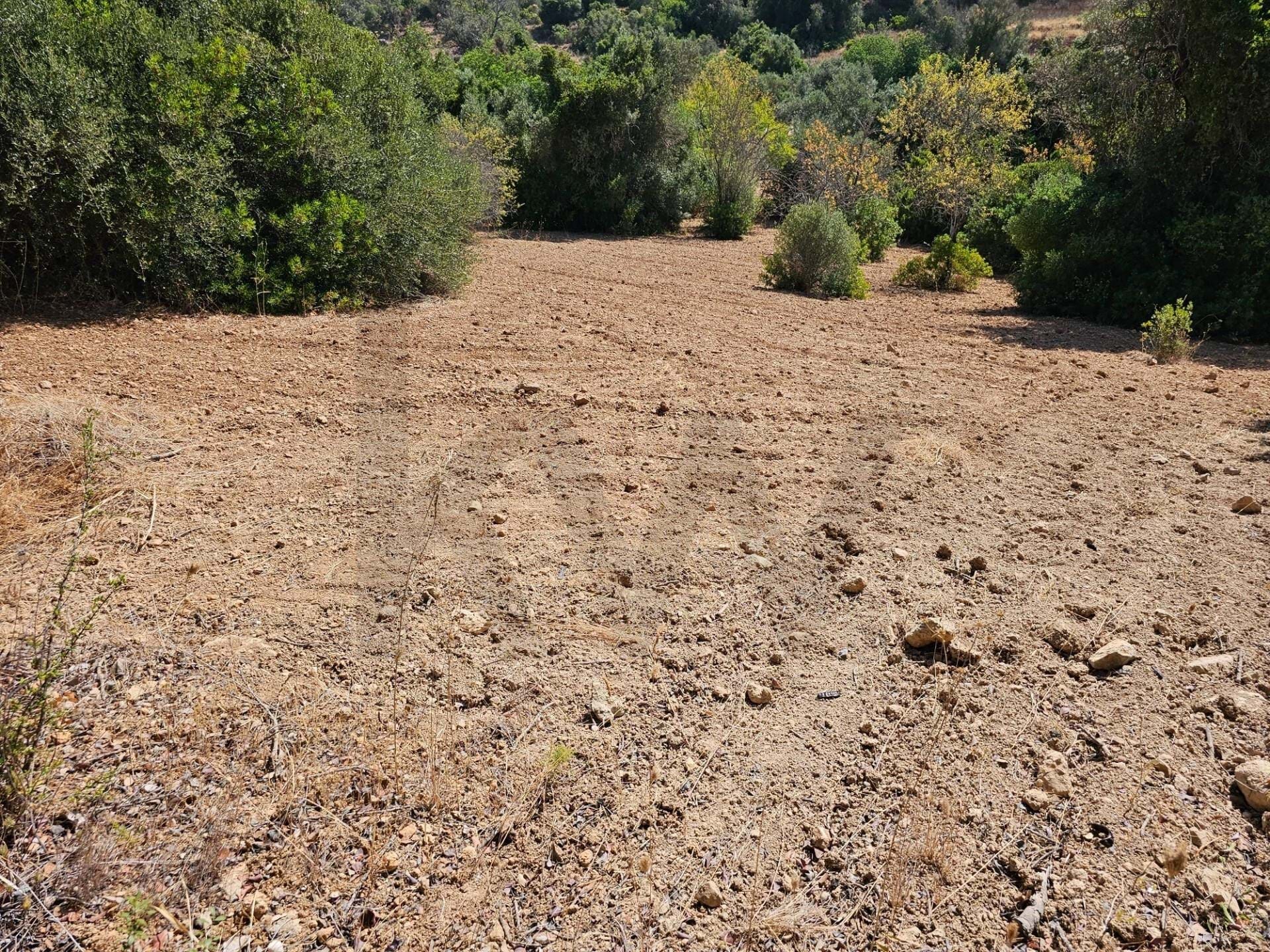 Land in Loule (Sao Sebastiao) - view 1