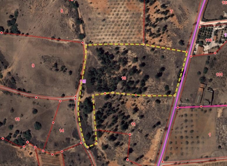 Land in Silves - view 1