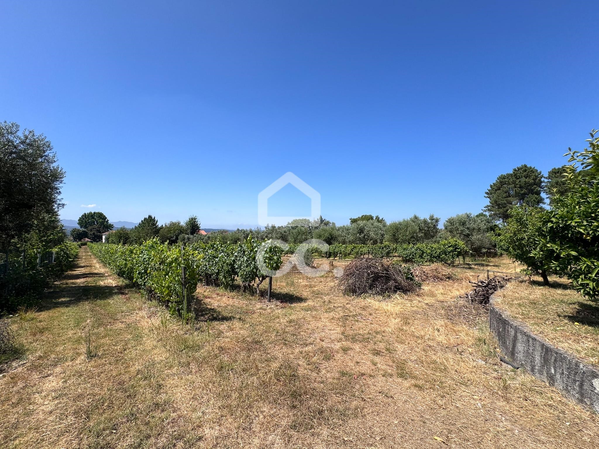 Land in Viseu - view 1