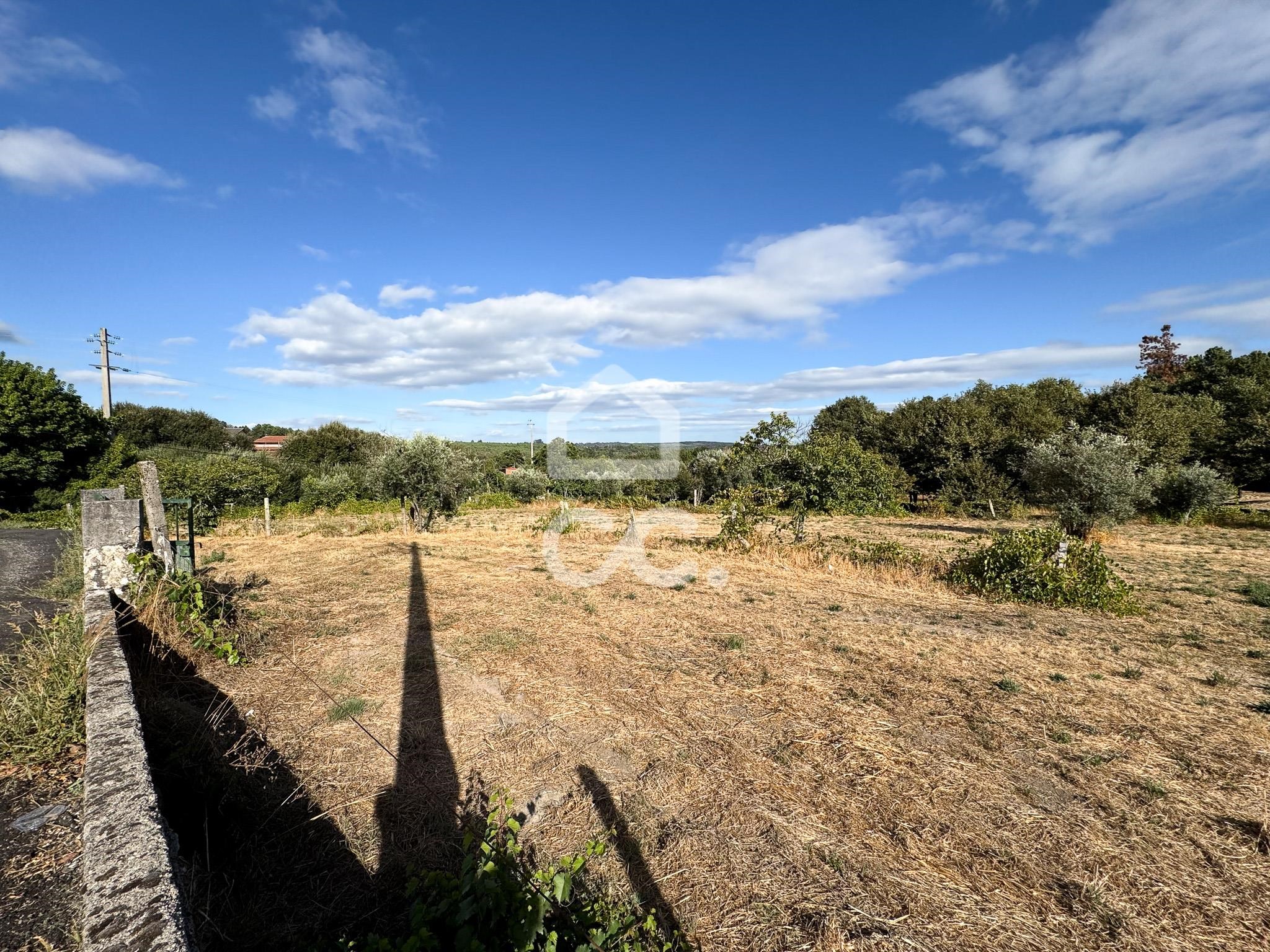 Land in Campo - view 1
