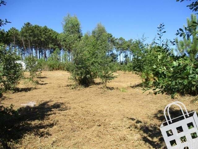 Land in Viseu - view 1