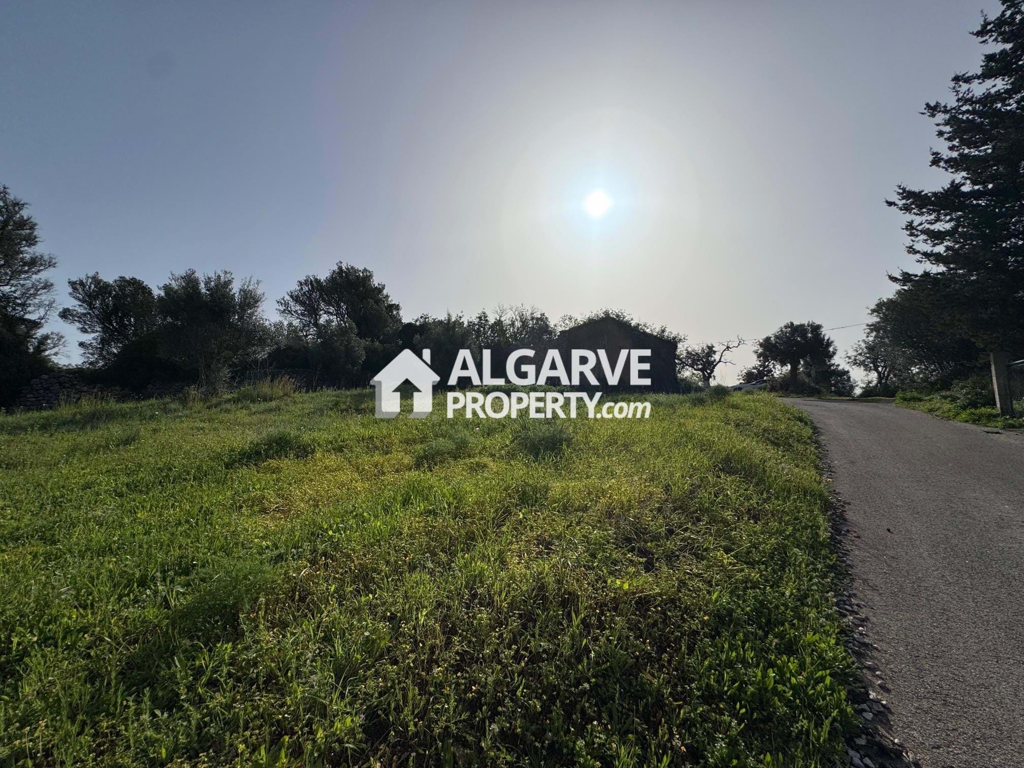 Land in Loule - view 1
