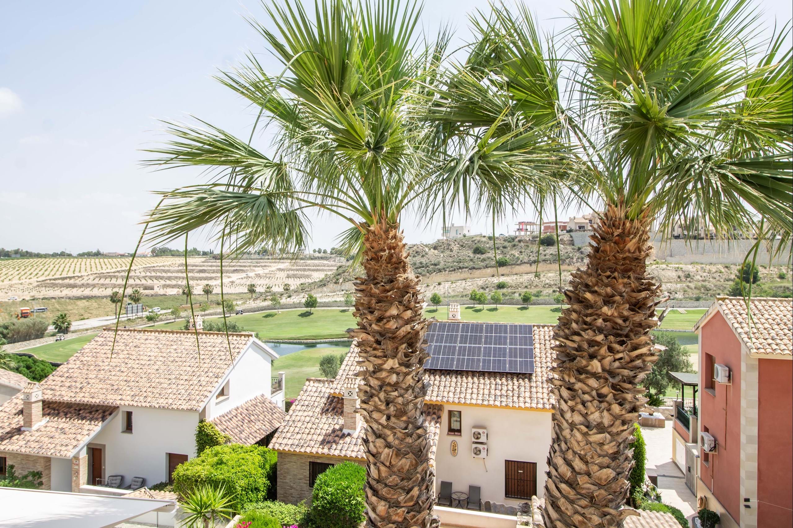 House in Algorfa - view 1