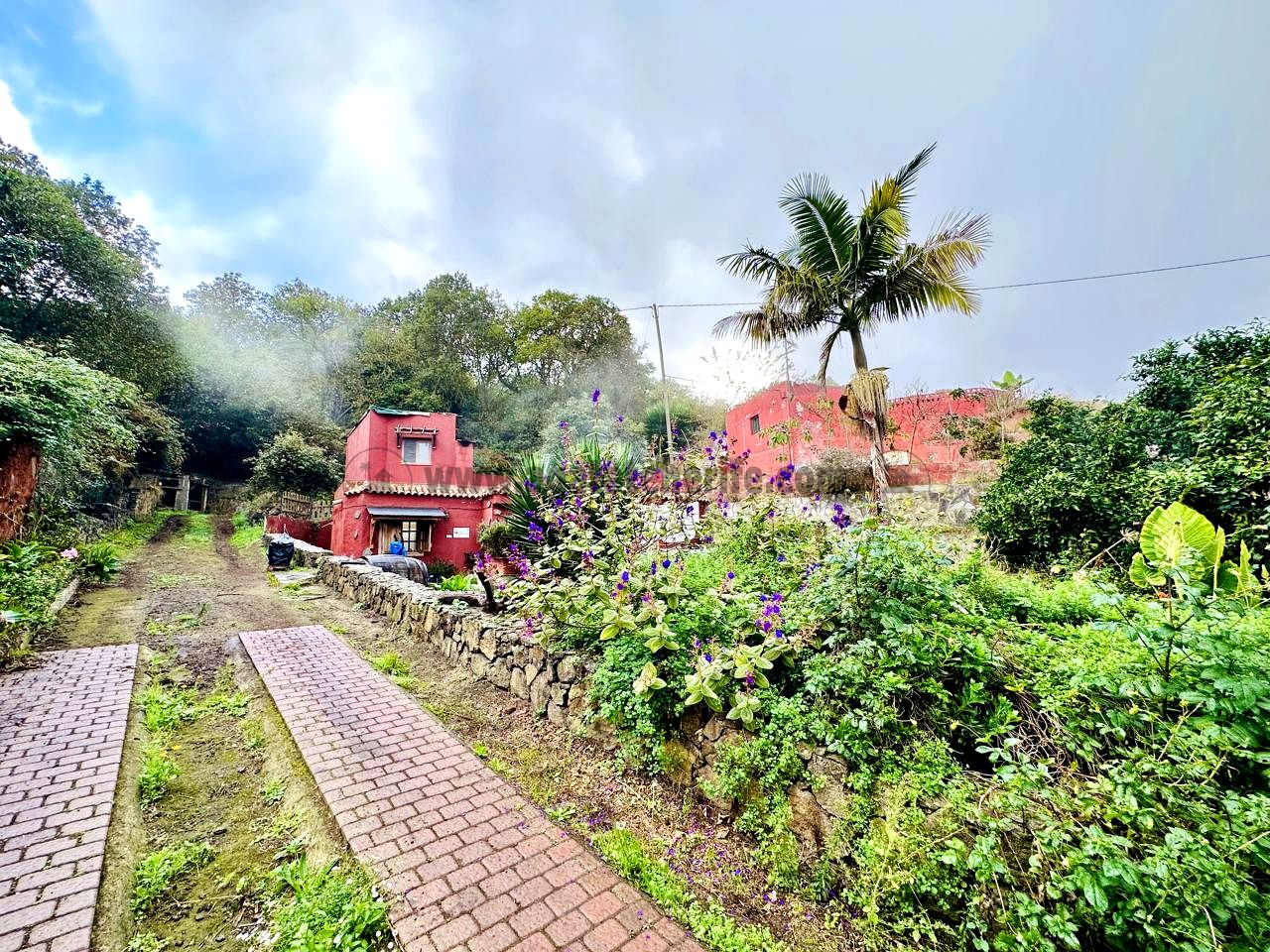 Villa in La Orotava - view 1