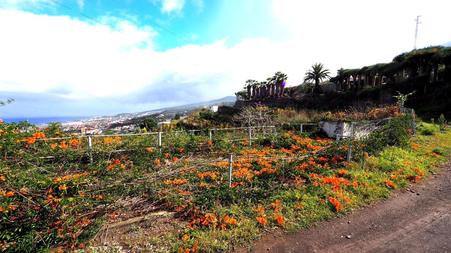 Land in Santa Cruz de Tenerife - view 1