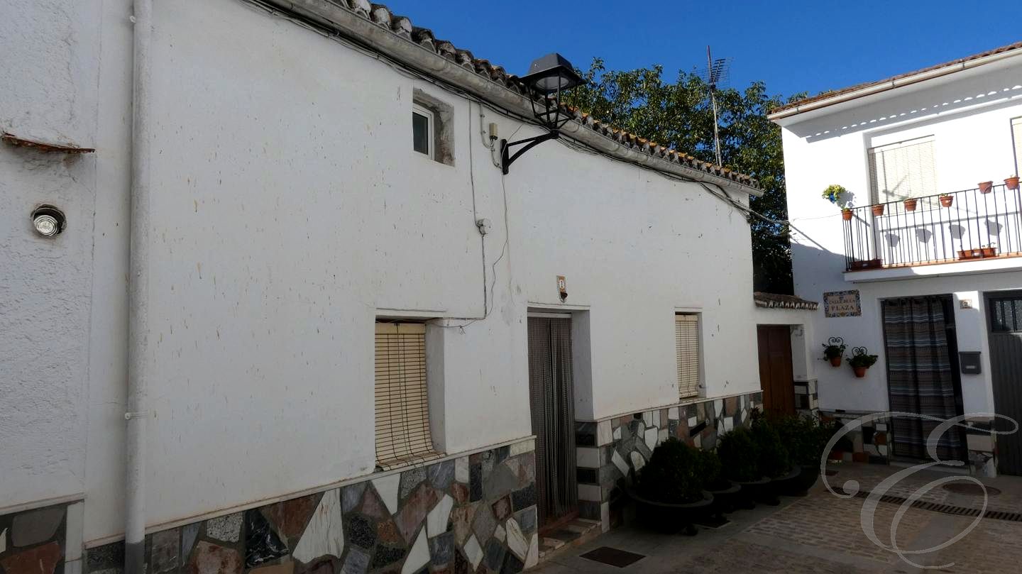 Villa in Alfarnatejo - view 1