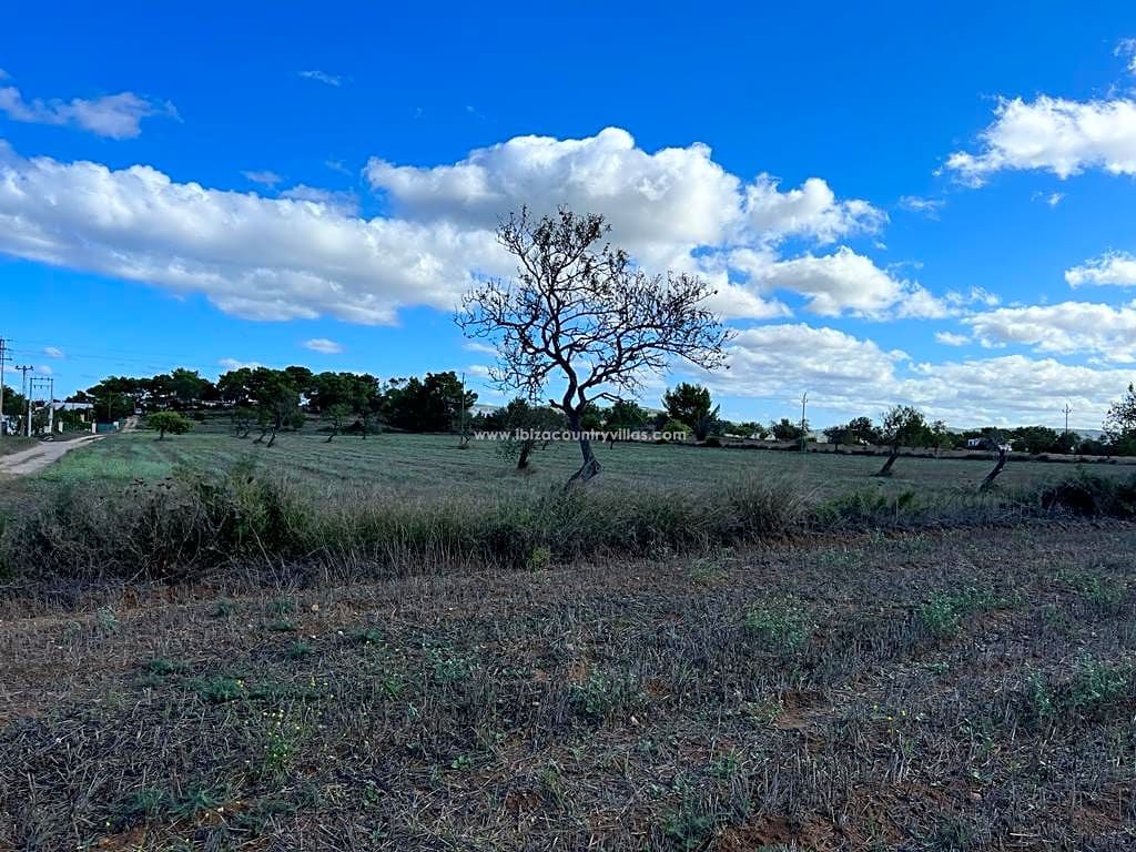 Country Estate in San Antonio De Portmany
 - view 1