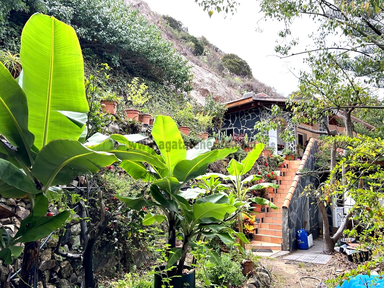 House in Vallehermosa - view 1