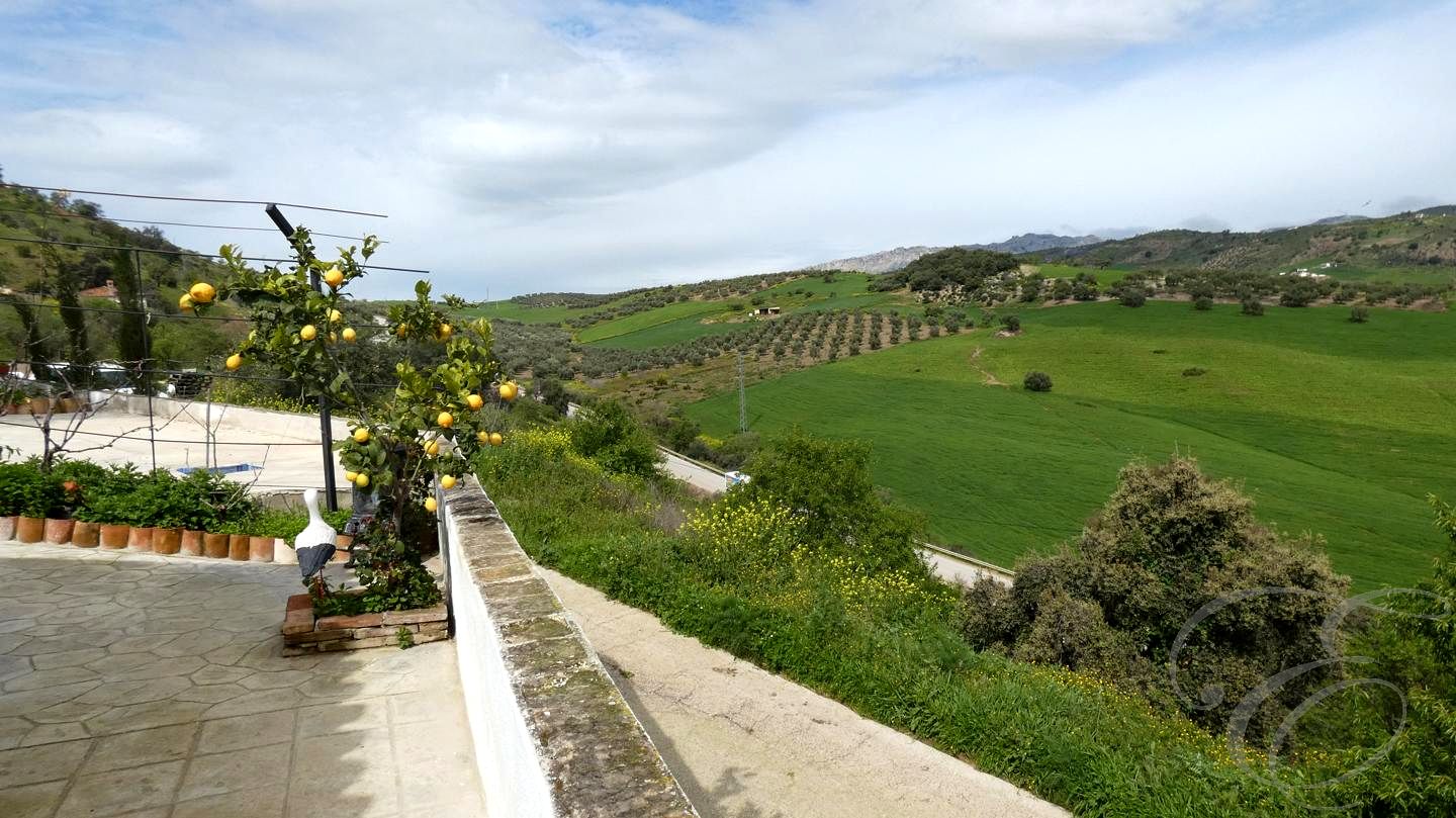 House in Malaga - view 1