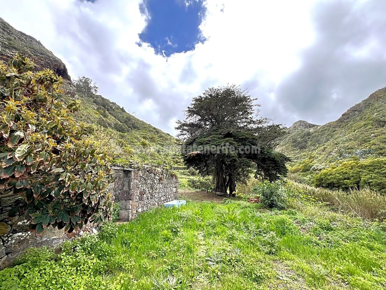 Land in El Palmar de Troya - view 1