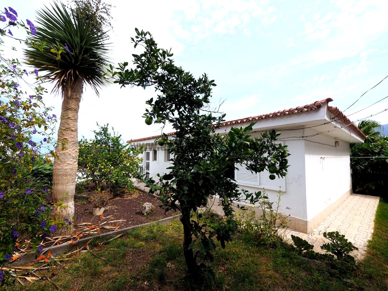 House in Puerto de la Cruz - view 1