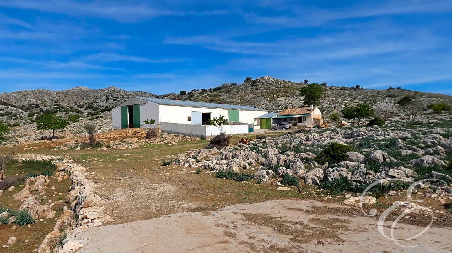 House in Zafarraya - view 1