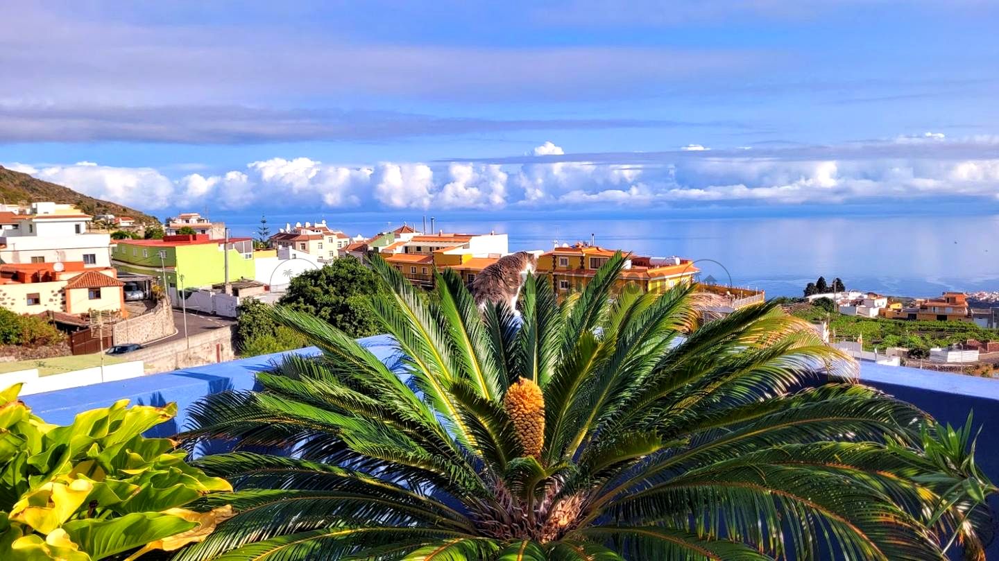 Villa in Cerrogordo - view 1