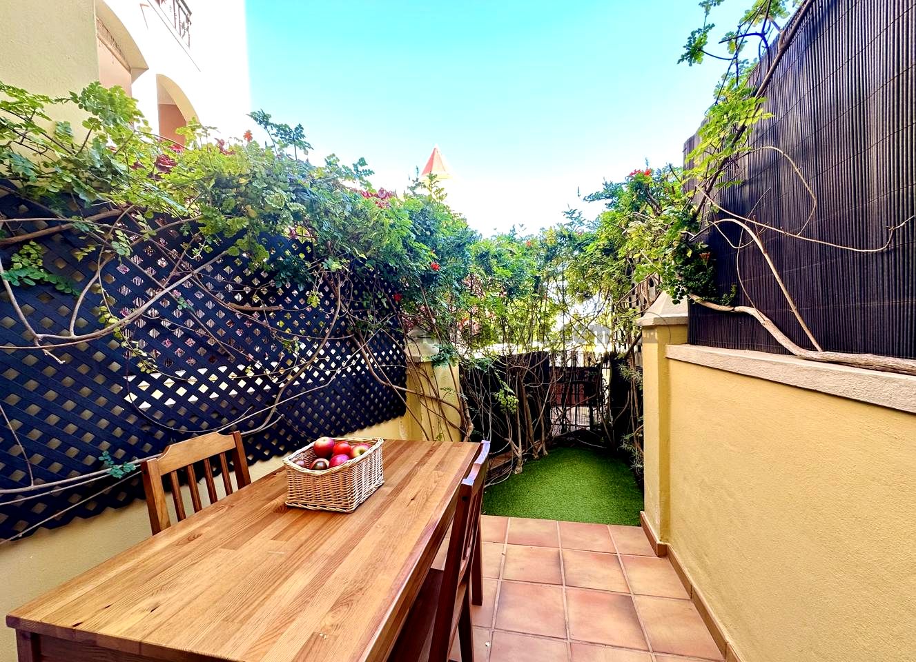 Apartment in Santa Cruz de Tenerife - view 1