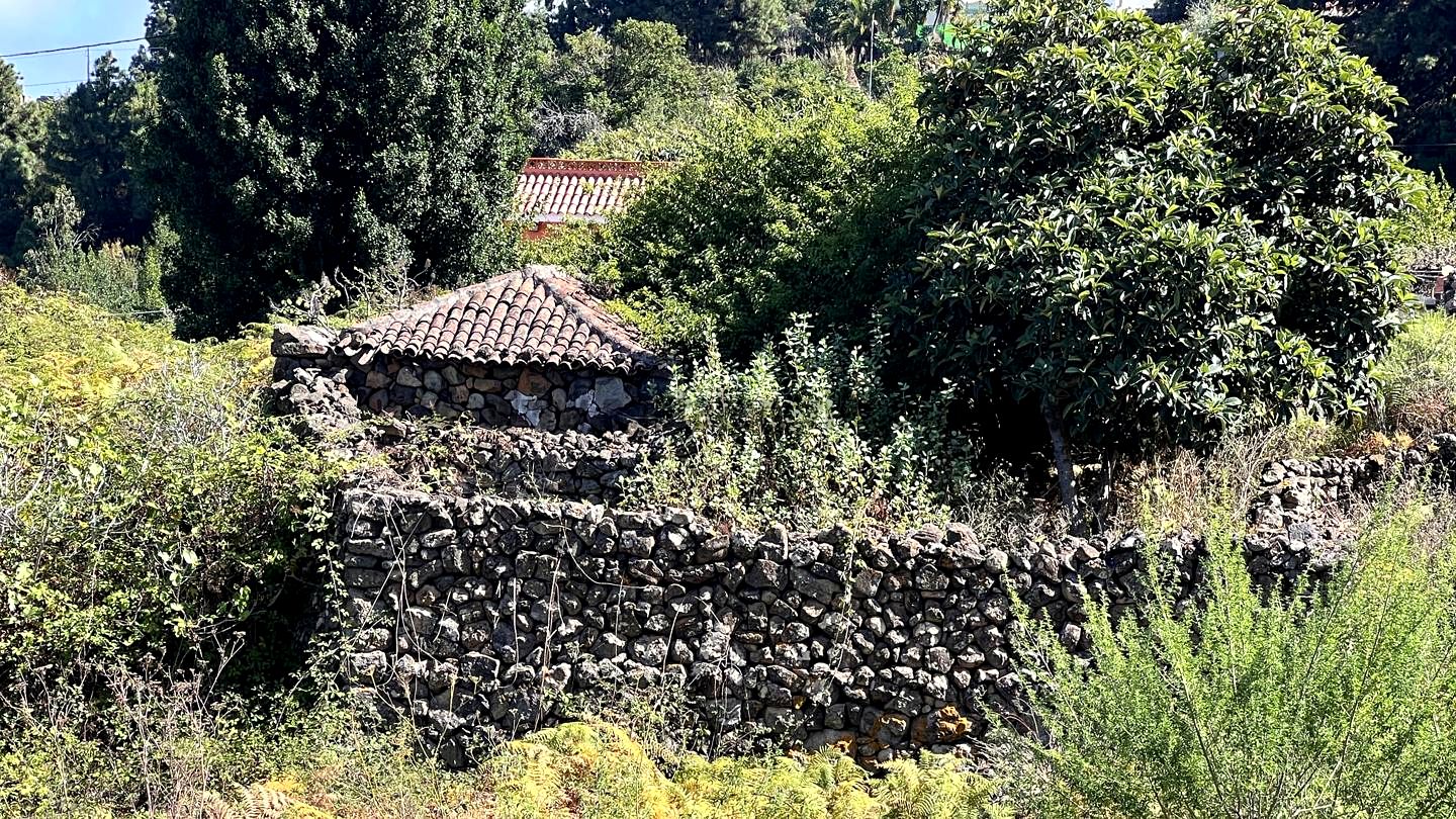 House in Icod de los Vinos - view 1