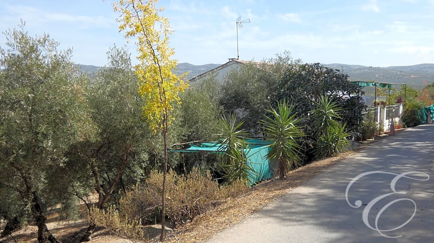 House in Malaga - view 1