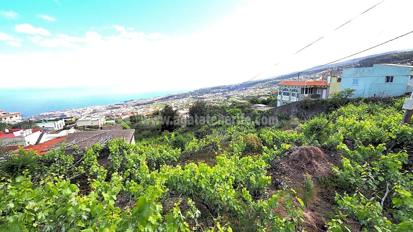 Land in Santa Cruz de Tenerife - view 1
