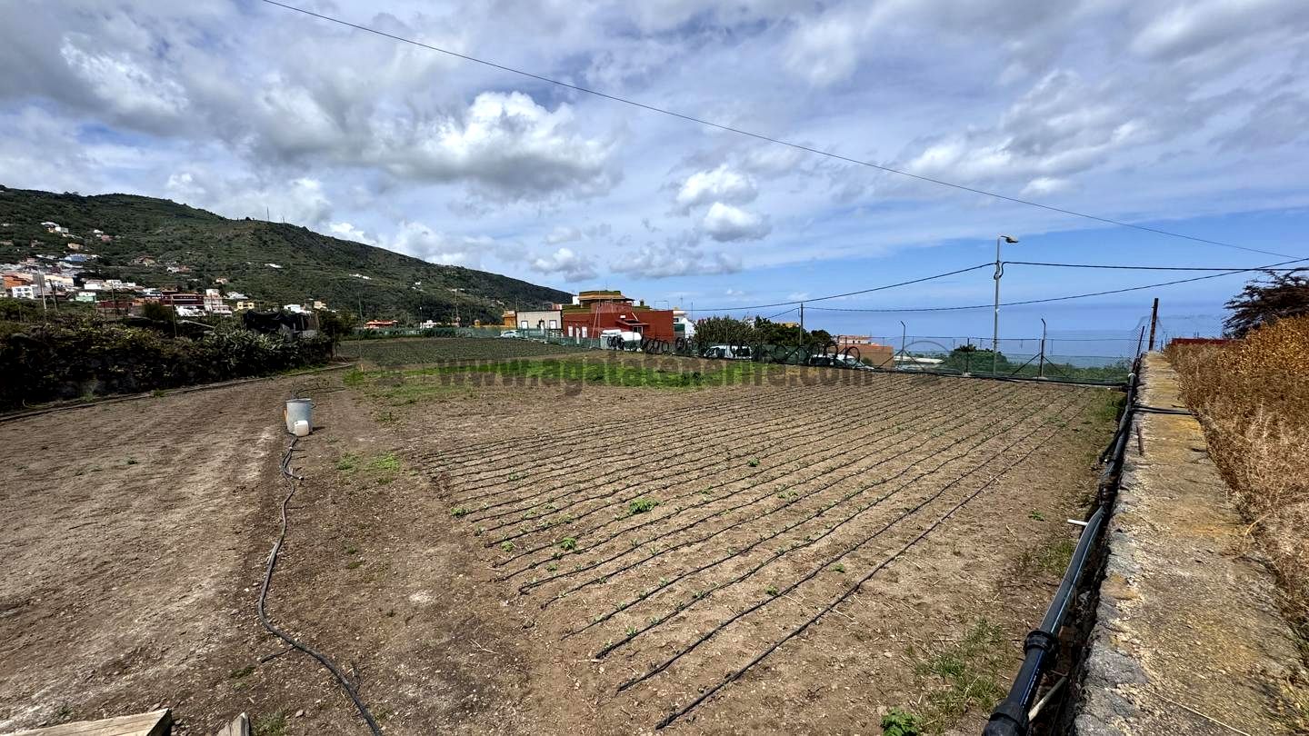 Land in Santa Cruz de Tenerife - view 1